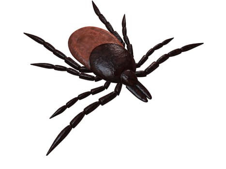 3d rendered illustration of a tick