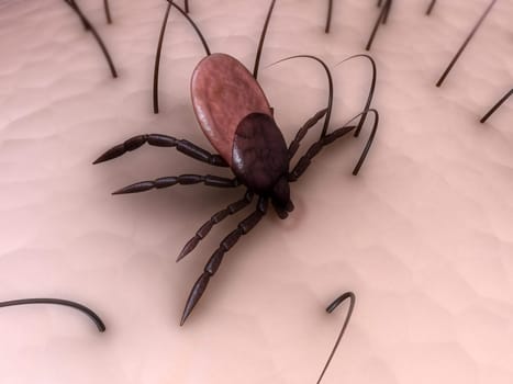 3d rendered illustration of a tick on the skin