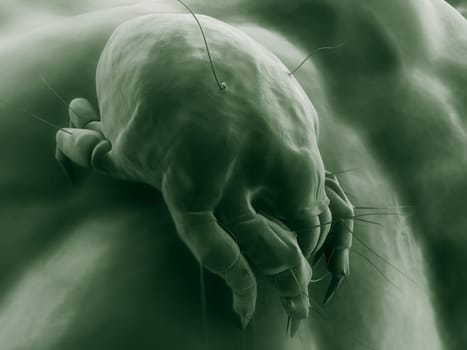 3d rendered illustration of an isolated mite