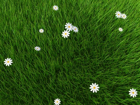 3d rendered illustration of a green gras land with white flowers