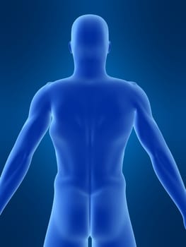 3d rendered illustration of a male shape