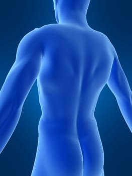 3d rendered illustration of a male shape