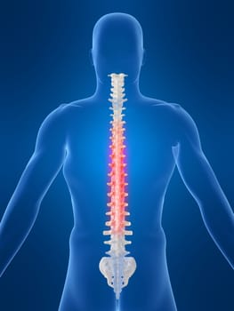 3d rendered anatomy illustration of a human spine with pain