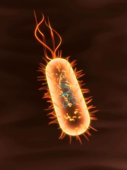 3d rendered close up of an isolated bacterium