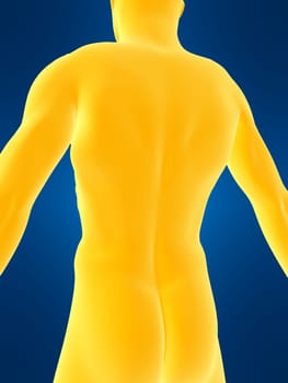 3d rendered illustration of a male back shape
