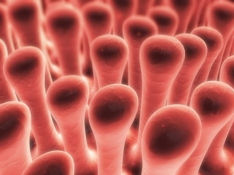 3d rendered close up of colon villi