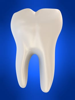 3d rendered illustration of a human tooth
