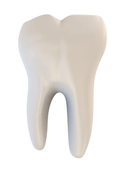 3d rendered illustration of a human tooth