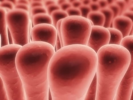 3d rendered close up of colon villi