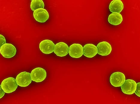 3d rendered close up ofsome streptococcus bacteria