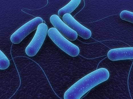 3d rendered close up of some coli bacteria