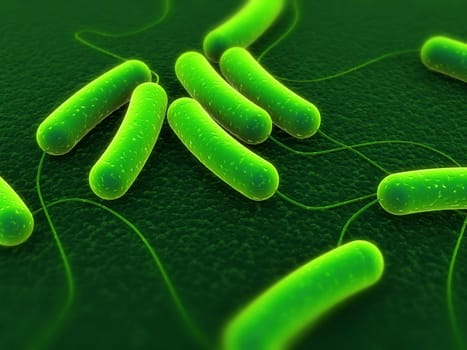 3d rendered close up of some coli bacteria