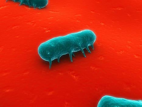 3d rendered close up of some salmonella bacteria