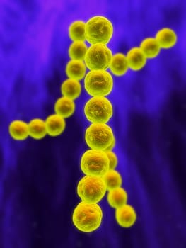 3d rendered close up ofsome streptococcus bacteria