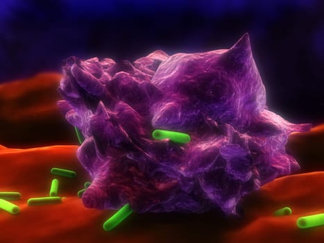 3d rendered illustration of an eating macrophage