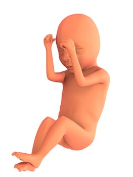 3d rendered illustration of a human fetus