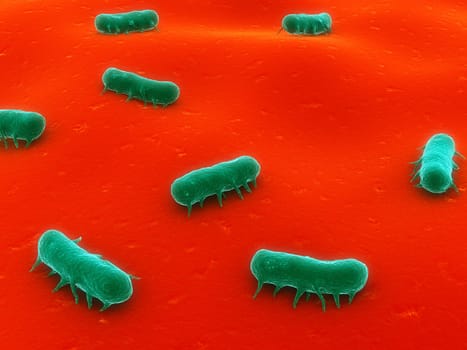 3d rendered close up of some salmonella bacteria