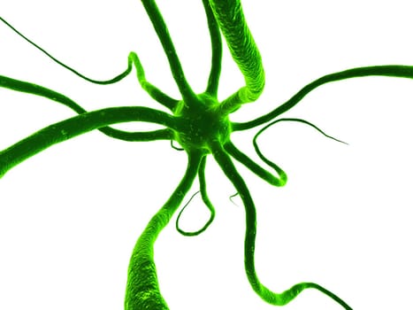 3d rendered illustration of a nerve cell