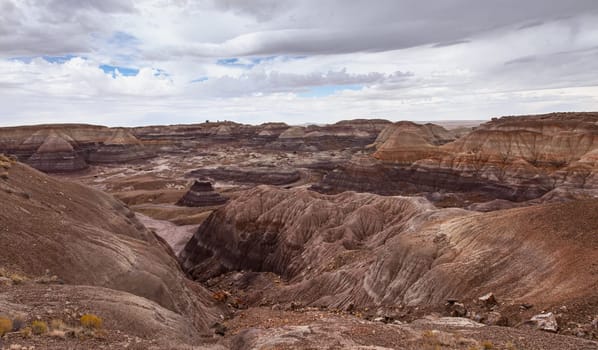 Petrified Forest National Park landscape