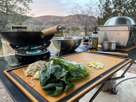 Outdoor Wok Campsite Cooking Outdoors