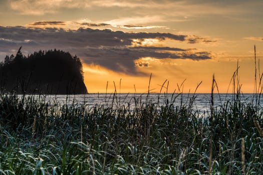 Oregon Ocean Sunset over the beach with grass