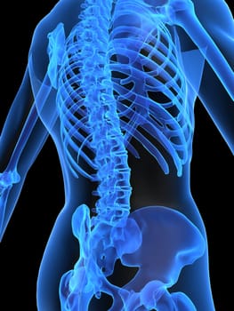 3d rendered x-ray illustration of a human skeletal back