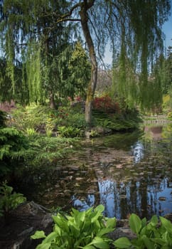 Buchart Gardens Magical Trees and reflecting ponds