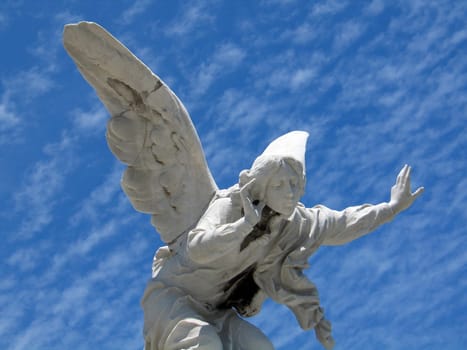 detail of winged angel statue against blue sky