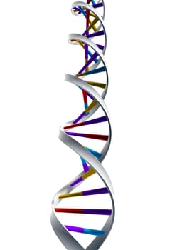 3d rendered illustration of a double helix