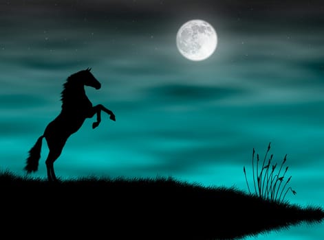 Wild horse silhouette in a blue moonlight