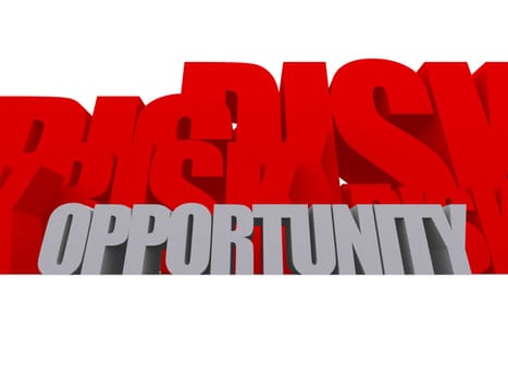 3d rendered illustration of the words risk and opportunity
