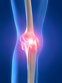3d rendered anatomy illustration of a human knee wiith pain