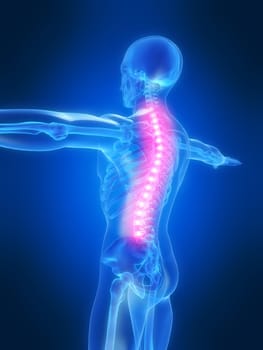 3d rendered anatomy illustration of a human skeleton with a painful spine
