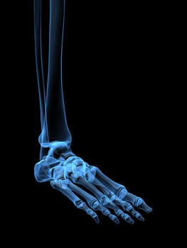 3d rendered x-ray illustration of a human skeletal foot