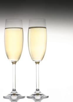 Champagne glass