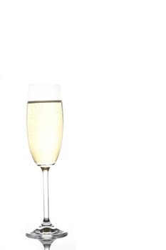 Champagne glass