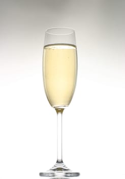 Champagne glass