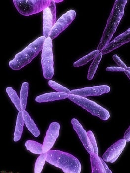 3d rendered close up of isolated chromosome