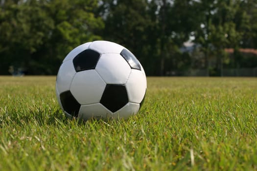 Soccer ball laying on green field