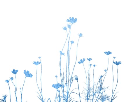 flower abstract textures and backgrounds