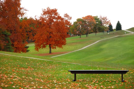 view of golf course on an autumn day