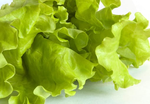 Lettuce