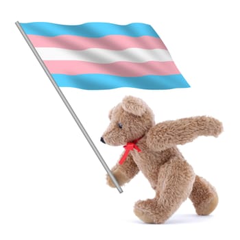 A Transgender flag being carried by a cute teddy bear