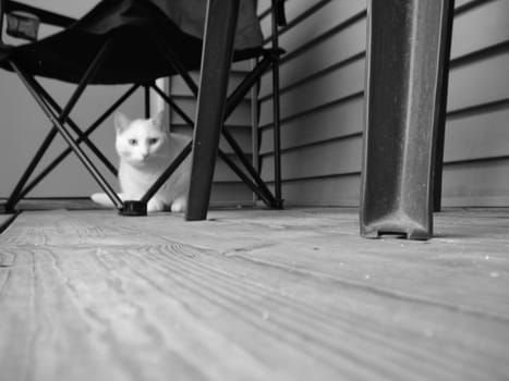 Taken through an alternate perspective