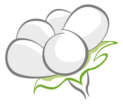 line illustration for the cotton bud