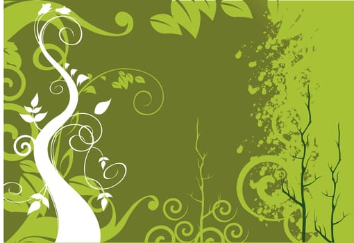 Floral design vectors