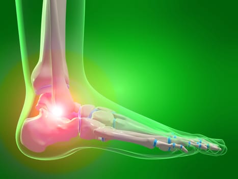 3d rendered x-ray illustration of a human skeletal foot with pain