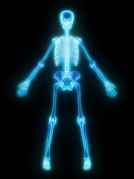 3d rendered anatomy illustration of a glowing human skeleton