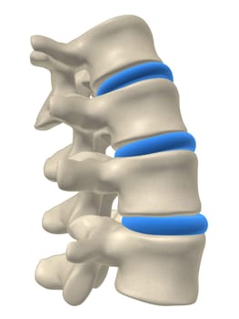 3d rendered anatomy illustration from a part of a spine