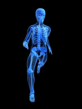 3d rendered anatomy illustration of a running skeleton